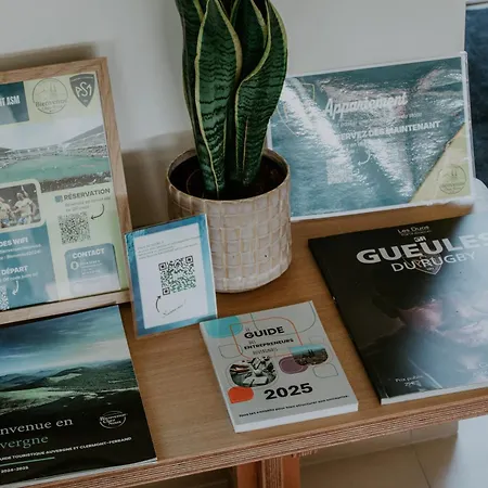 Signature Au Coeur Du Stade Asm アパート クレルモン・フェラン