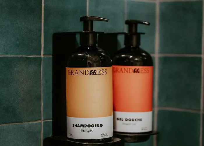 Signature Au Coeur Du Stade Asm * クレルモン・フェラン