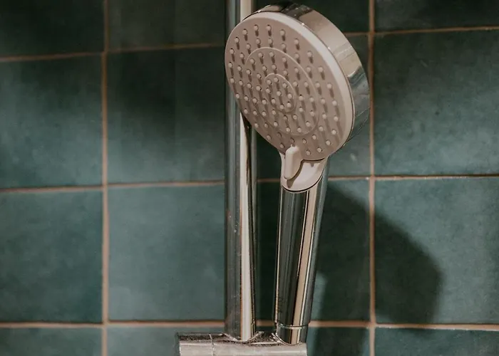 Signature Au Coeur Du Stade Asm クレルモン・フェラン